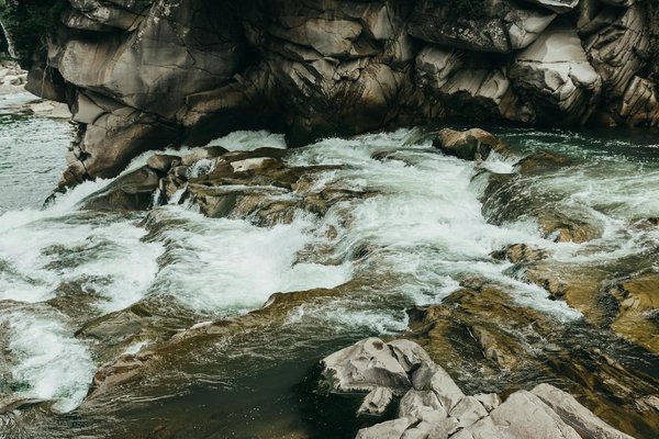 Comment découvrir les traditions de la pêche au saumon au Canada?