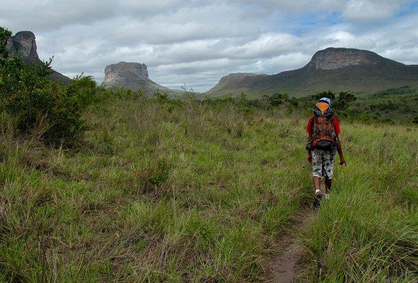 Quelles sont les meilleures pratiques pour camper en région de forêt tempérée en été?