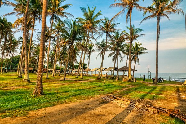 Comment choisir une croisière qui inclut des visites de vignobles en Argentine?